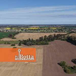Campo Agrícola en Venta, 148 has | Carlos Keen, Buenos Aires