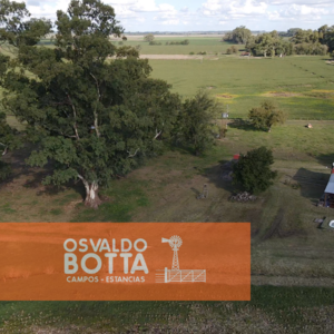 Campo Agricola En Venta 32Has En Suipacha, Buenos Aires