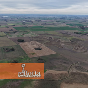 Campo agrícola en venta, 33has Saladillo, Buenos Aires