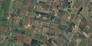 Campo agrícola en venta de 146 ha en Diego de Rojas, Córdoba