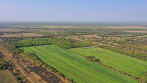 Campo Agricola - Macapillo 517 Has