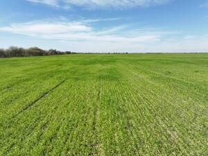 Campo Agricola - Villa Minetti 927 ha
