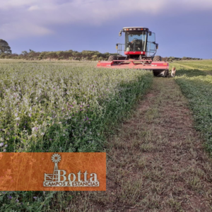 Campo Alfalfero en Venta — 1.220 has | Batavia, San Luis | Listo para producir