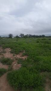 CAMPO CON CASA