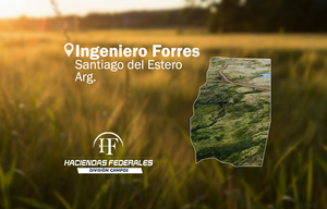 Campo Con Riego, 110 Ha. Ing. Forres, Sgto. Del Estero