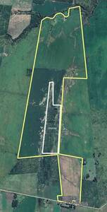 Campo de 112 ha en Nogoyá con 85 ha de chacra, galpón y luz eléctrica