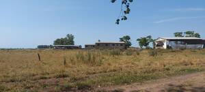 Campo de 12 ha, con parque, casas y granja de cerdos próximo a futura autopista Ruta Nacional 3 en General Belgrano