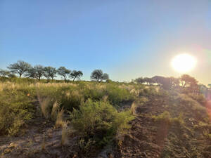 Campo en venta De 14 Has A 7 Km De Santa Rosa Del Conlara