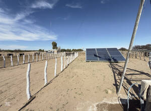 Campo De Cría En Provincia De La Pampa