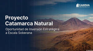 Campo En Catamarca - Fiambalá/tinogasta- Gran Extensión