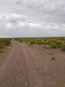 Campo En Gobernador Duval - 10.000 Has