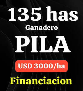 Campo En Pila