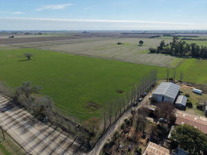 Campo en San Carlos Centro