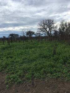 Campo en venta