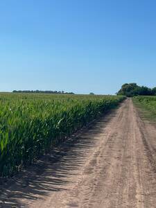 Campo en Venta - 1.020 Has. Ramallo, Buenos Aires