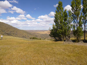 Campo En Venta, 10.727 Has. Deseado - Santa Cruz