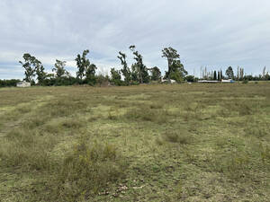 Campo En Venta 10 Has. Bahía Blanca C Arroyo