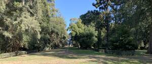 Campo en Venta - 102 Has. Lobos, Buenos Aires