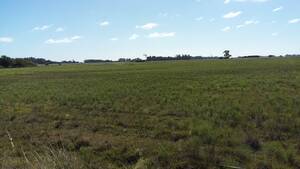 Campo En Venta 12,5 Has En Las Tahonas - Punta Indio