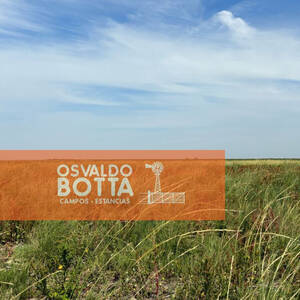Campo En Venta, 1200Has La Carlota