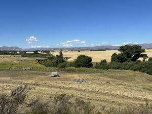 Campo En Venta 126 Has. Saavedra Costa De Arroyo