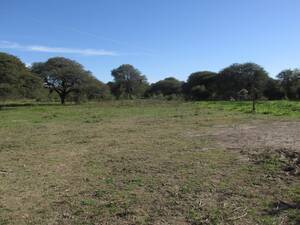 Campo en venta - 2.318 Has. San Cristobal, Provincia de Santa Fe. 