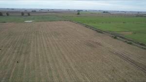 CAMPO en Venta 450 hectáreas en Magdalena 