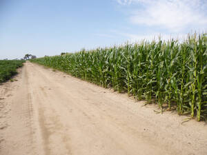 Campo En Venta - 519 Has. Bandera - Sgo. Del Estero