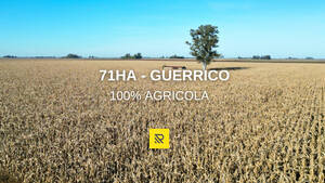 Campo En Venta. 71Ha Guerrico