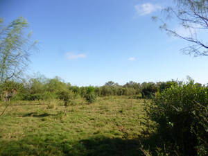Campo En Venta - 8.443 Has - Logroño, Santa Fe.