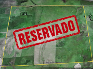 Campo En Venta, 921 Has. Ganadero. Magdalena, Bs As.