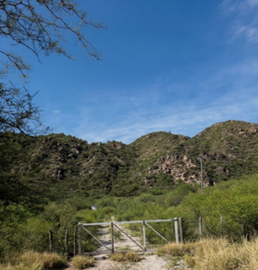 Campo En Venta-950 Hectáreas Con Agua Propia- San Luis