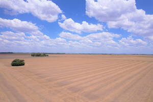 Campo En Venta Agrícola 23 Ha Acevedo