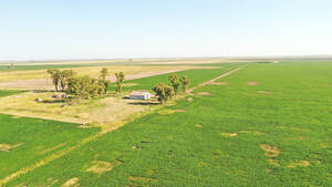 Campo En Venta Agrícola 242 Has Córdoba, Córdoba