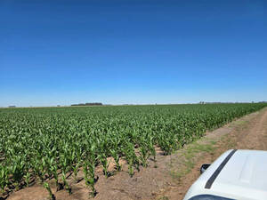 Campo En Venta Cañada Seca 300 Has Mixtas