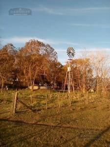 Campo en Venta Ganadero 20 has San Miguel del Monte