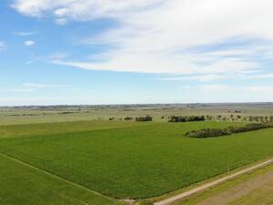Campo En Venta De Uso Mixto 155 Ha El Socorro