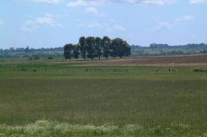 Campo Mixto En Venta 200 Hectáreas En Baradero, Buenos Aires