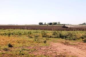 Campo Mixto En Venta 300 Hectáreas En Bolívar, Buenos Aires