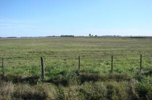 Ba3140 Campo En Venta En Bragado. 110 Has. Mixto.