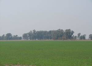 Campo Mixto En Venta 3000 Hectáreas En Castellanos, Santa fe