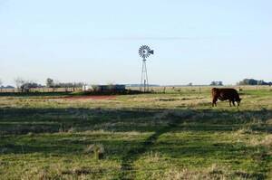 Campo Mixto En Venta 550 Hectáreas En Chascomús, Buenos Aires