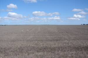 Campo Agrícola En Venta 1800 Hectáreas En Coronel Dorrego, Buenos Aires