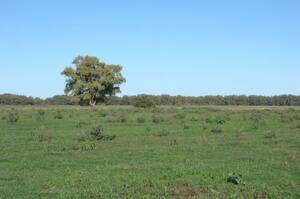 Campo Mixto En Venta 850 Hectáreas General Belgrano, Buenos Aires