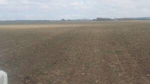 Vendo Campo En Cordoba James Craik. 160 Has