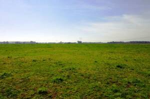 Ba2762 Agrícola En Venta 130 Has. Monte, Buenos Aires
