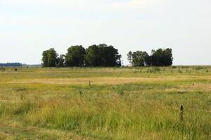 Campo Ganadero En Venta 540 hectáreas En Olavarría, Buenos Aires