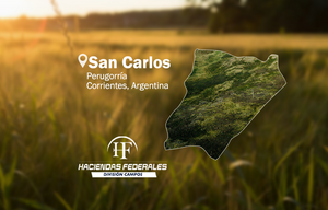 Campo en venta en Perugorría, Corrientes | 2.250 ha productivas
