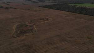 Vendo Campo En Chaco Roque Saenz Peña. 294 Has