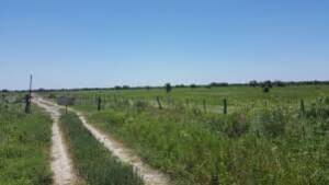 Vendo Campo En Santa Fe 5000 Has. Apto Mixto.
